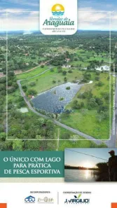 Lote/Terreno à venda, 1000m² no Br 251, Aruanã