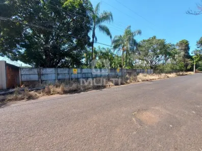 Fazenda/Sítio com 1 Quarto à venda, 5000m² no Mansões Aeroporto, Uberlândia