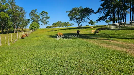 Fazenda/Sítio à venda, 60000m² no Jardim Iolanda, Guaíba