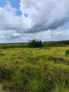 Fazenda/Sítio com 3 Quartos à venda, 103000m² no , Macaíba