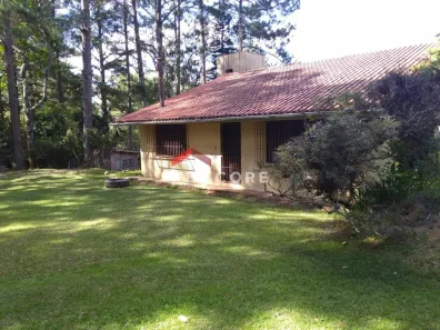 Fazenda/Sítio com 3 Quartos à venda, 45000m² no Lami, Porto Alegre