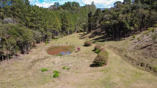 Fazenda/Sítio à venda, 50167m² no MORRO CHATO, Rancho Queimado