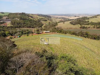Fazenda/Sítio com 1 Quarto à venda, 157m² no Irerê, Londrina