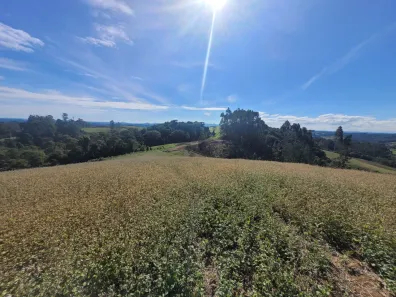 Lote/Terreno à venda, 81949m² no Bateias de Cima, Campo Alegre