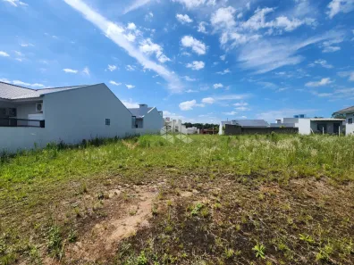 Lote/Terreno à venda, 360m² no , Vera Cruz