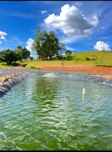 Fazenda/Sítio com 3 Quartos à venda, 1005000m² no , Oliveira
