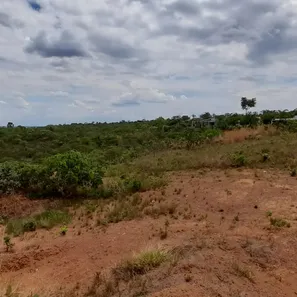 Fazenda/Sítio à venda, 22500m² no , Brasília