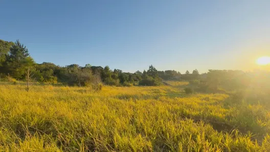 Lote/Terreno à venda, 1000m² no Águas Claras, Viamão