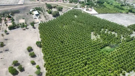 Fazenda/Sítio com 3 Quartos à venda, 120000m² no , Monte Alegre