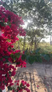 Lote/Terreno à venda, 500m² no , Ibiúna