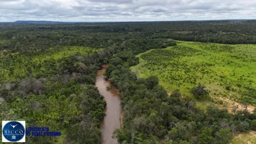Fazenda/Sítio com 4 Quartos à venda, 1598m² no Centro, Colinas do Tocantins