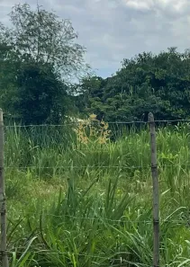 Lote/Terreno à venda, 1200m² no Itatiquara, Araruama
