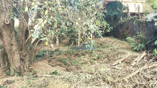Lote/Terreno à venda, 564m² no Granja Carneiro Viana, Cotia