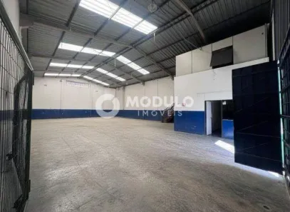 Galpão/Depósito/Armazém para alugar, 276m² no Custódio Pereira, Uberlândia