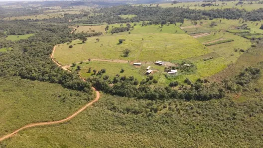 Fazenda/Sítio com 3 Quartos à venda, 37752m² no Segismundo Pereira, Uberlândia