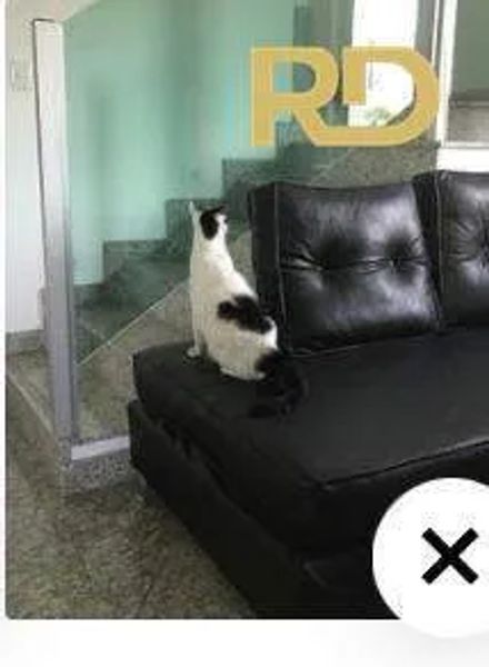 Foto 20