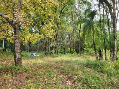Imóvel Comercial à venda, 80m² no Área Rural de Gramado, Gramado