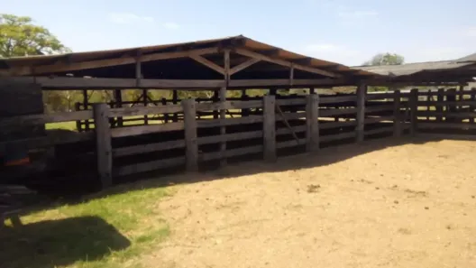 Fazenda/Sítio com 4 Quartos à venda, 151m² no , Aragarças
