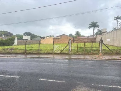 Lote/Terreno à venda, 1000m² no Loteamento Parque dos Pássaros, São José do Rio Preto