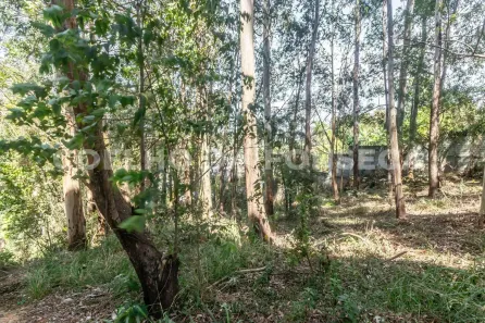 Lote/Terreno à venda, 1268m² no Residencial Tamboré, Barueri