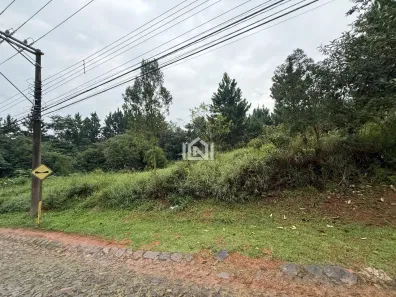 Imóvel Comercial à venda, 4973m² no Paisagem Renoir, Cotia