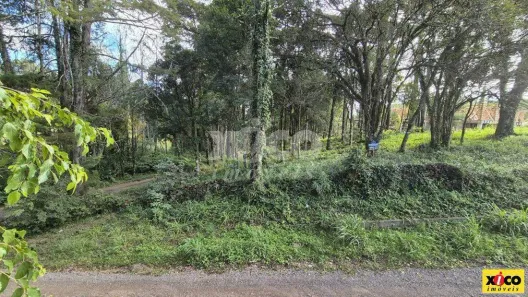 Lote/Terreno à venda, 672m² no Nova Petrópolis, Nova Petrópolis