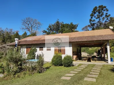 Fazenda/Sítio com 4 Quartos à venda, 10800m² no Centro, Campo Alegre