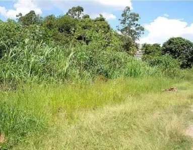 Lote/Terreno à venda, 20986m² no Chácaras Alpina, Valinhos