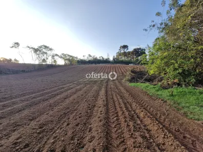 Fazenda/Sítio à venda, 6000m² no , Contenda
