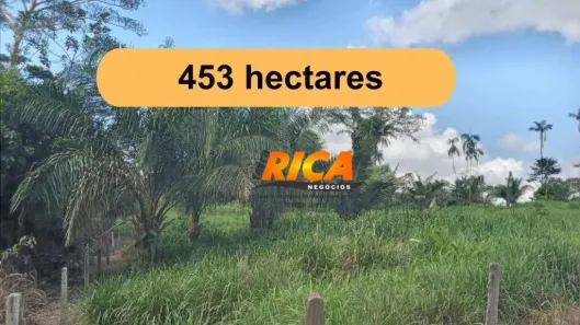 Fazenda/Sítio à venda, 4530000m² no , Boca do Acre