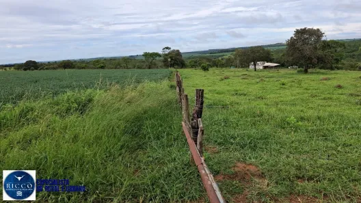 Fazenda/Sítio com 4 Quartos à venda, 38m² no Centro, Piracanjuba