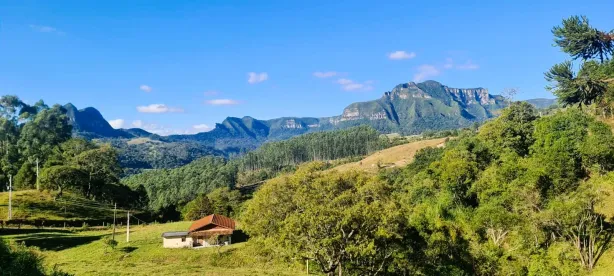 Fazenda/Sítio com 4 Quartos à venda, 64800m² no , Alfredo Wagner