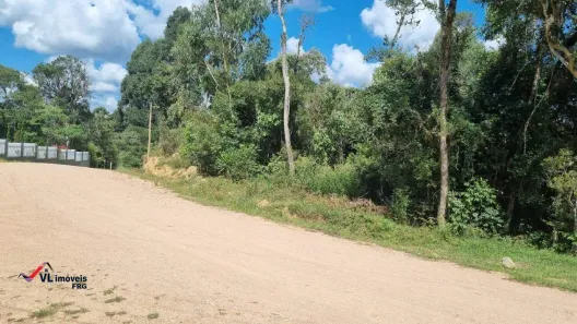 Fazenda/Sítio à venda, 4988m² no Área Rural, Quitandinha