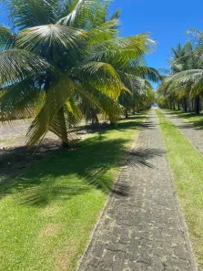 Lote/Terreno à venda, 1m² no Busca Vida (Abrantes), Camaçari