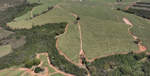 Fazenda/Sítio à venda, 266600m² no , Monte Alto