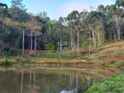 Lote/Terreno à venda, 20631m² no , Campo Alegre