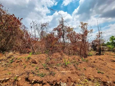 Lote/Terreno à venda, 360m² no Jardim Candidés, Divinópolis