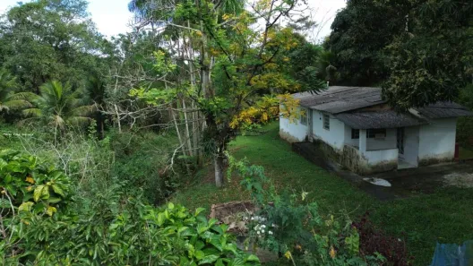 Fazenda/Sítio com 1 Quarto à venda, 20000m² no Agrobrasil, Cachoeiras de Macacu