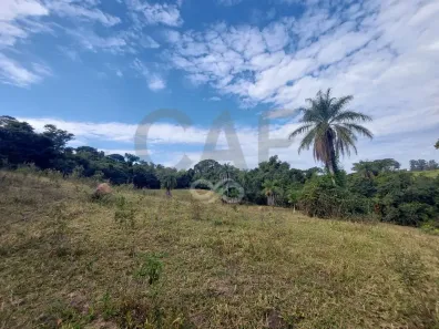 Fazenda/Sítio à venda, 10m² no Borda da Mata, Jaguariúna
