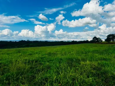Lote/Terreno à venda, 24330m² no Santa Helena, Santa Luzia
