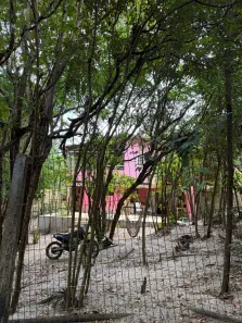 Casa com 3 Quartos à venda, 245m² no Pipa, Tibau do Sul