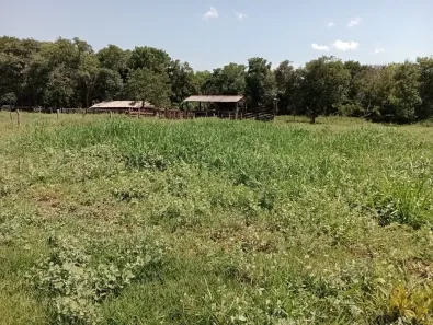 Fazenda/Sítio à venda, 350000m² no Parque dos Novos Estados, Campo Grande
