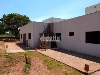 Fazenda/Sítio com 4 Quartos à venda, 216m² no Área Rural de Uberlândia, Uberlândia
