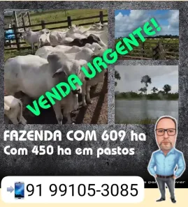 Fazenda/Sítio com 2 Quartos à venda, 4500000m² no Centro, Bragança