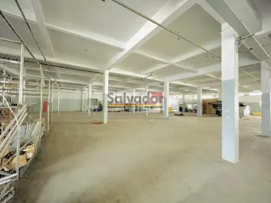 Galpão/Depósito/Armazém para alugar, 2550m² no Vila Liviero, São Paulo
