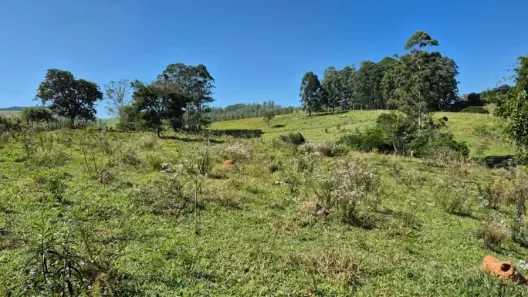 Fazenda/Sítio com 3 Quartos à venda, 48400m² no Centro, Lagoinha