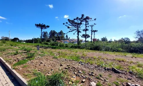 Lote/Terreno à venda, 350m² no Desvio Rizzo, Caxias do Sul