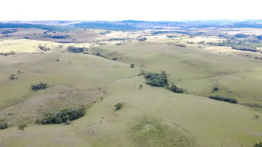Fazenda/Sítio à venda, 280m² no Centro, Lages