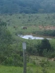 Fazenda/Sítio à venda, 4690000m² no Núcleo Residencial Brasília, Novo Gama