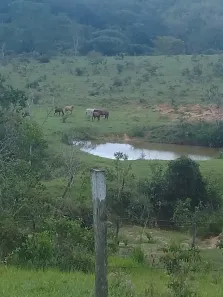Fazenda/Sítio à venda, 4780000m² no Núcleo Residencial Brasília, Novo Gama